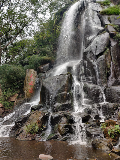 图片2.png 图片2.png